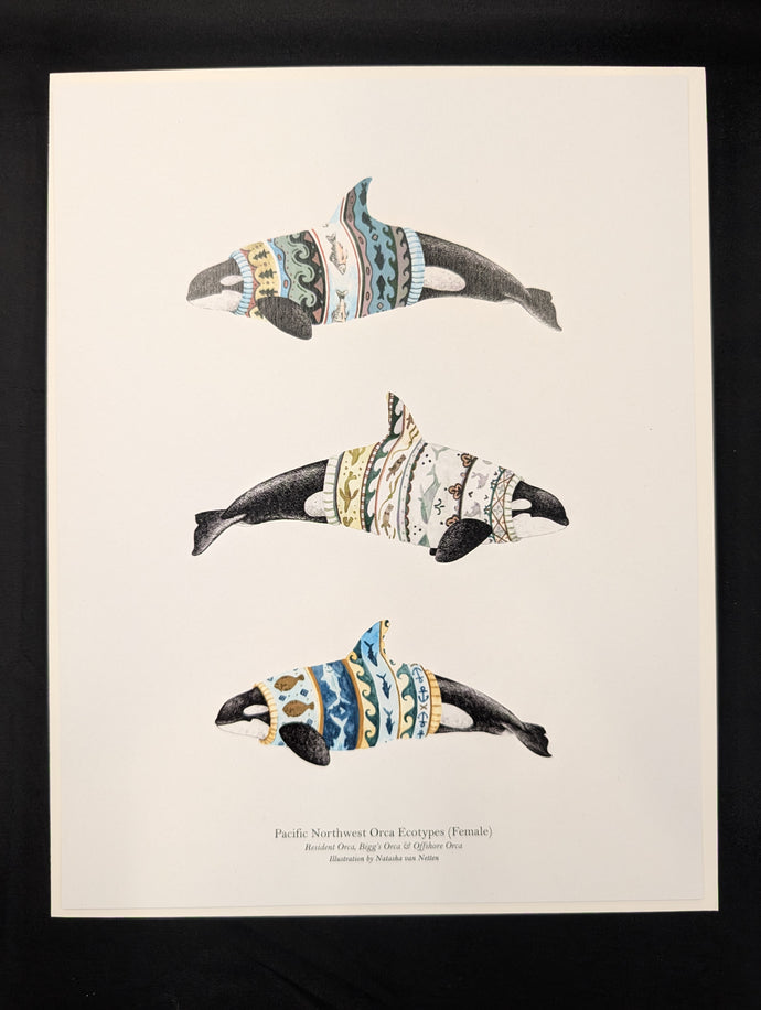 Natasha Van Netten Art Print - 8.5