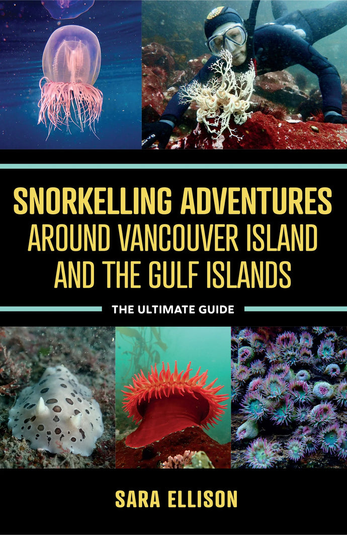 Snorkeling Adventures around Vancouver Island and the Gulf Islands