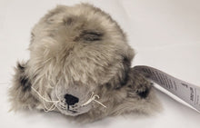 Harbour Seal plushy - small